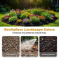 💥Hot Sales - 50% off🏠Mulch & Gravel Anchor Glue for Landscaping