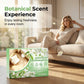 Multi-Effect Floor Cleaner Tablets